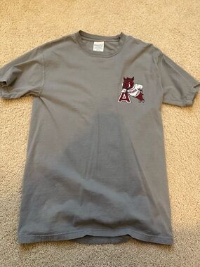 Comfort Colors Gray Short-Sleeve Arkansas Logo Tee